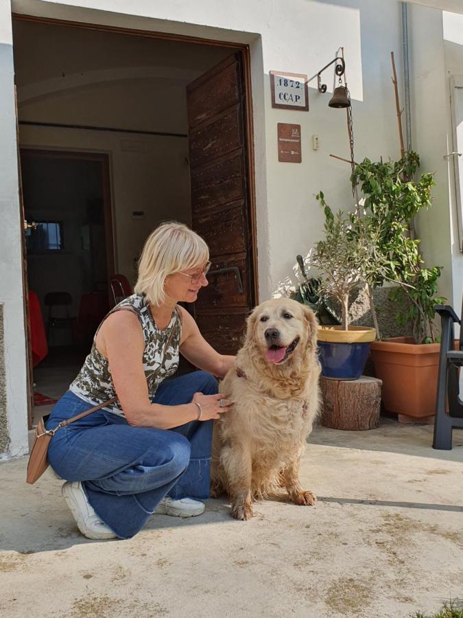 Il Casolare Del Medio Olona Bed & Breakfast Fagnano Olona Eksteriør bilde