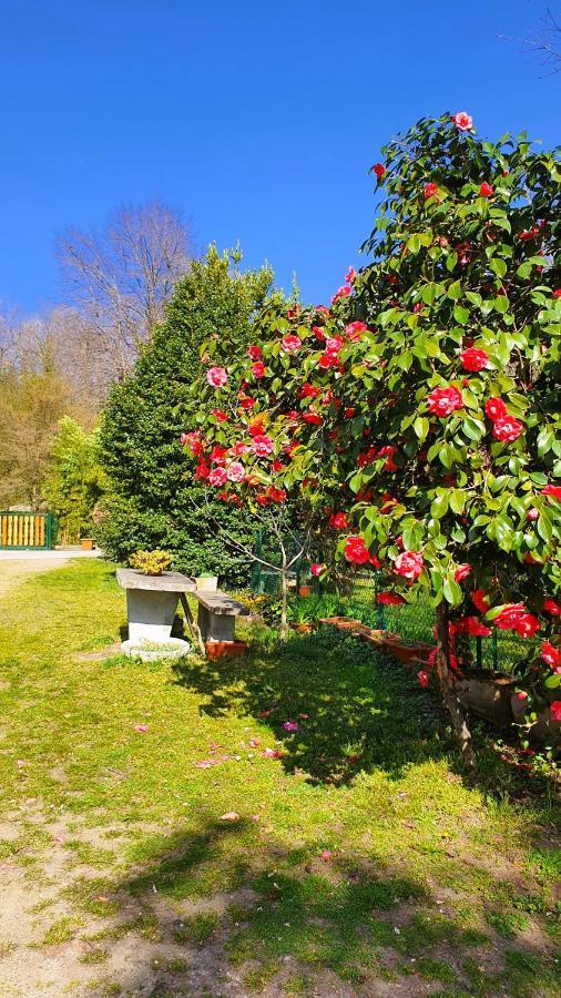 Il Casolare Del Medio Olona Bed & Breakfast Fagnano Olona Eksteriør bilde